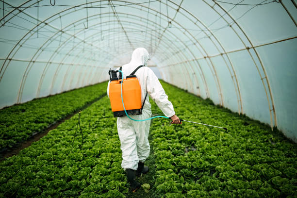 Best Best Pest Control Companies  in Elmore, OH