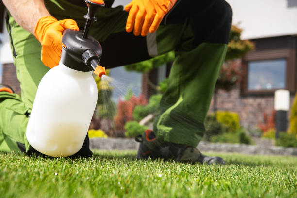 Best Wildlife Control Services  in Elmore, OH