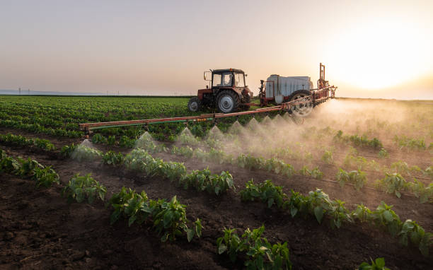 Best Mosquito Control Services  in Elmore, OH