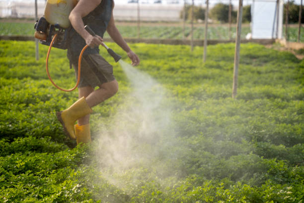 Best Best Pest Control Companies  in Elmore, OH