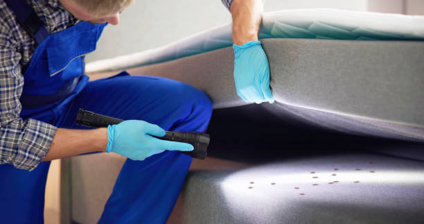 Best Exterminator Services  in Elmore, OH