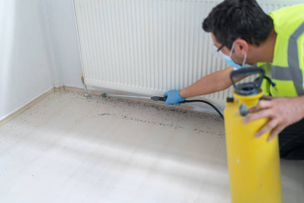 Best Pest Control for Restaurants  in Elmore, OH