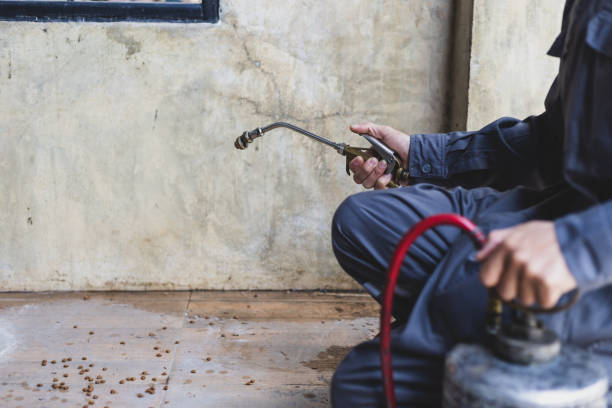 Best Affordable Pest Control Services  in Elmore, OH